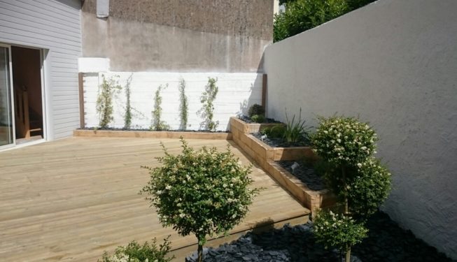 terrasse jardinière pin papyrus paysage
