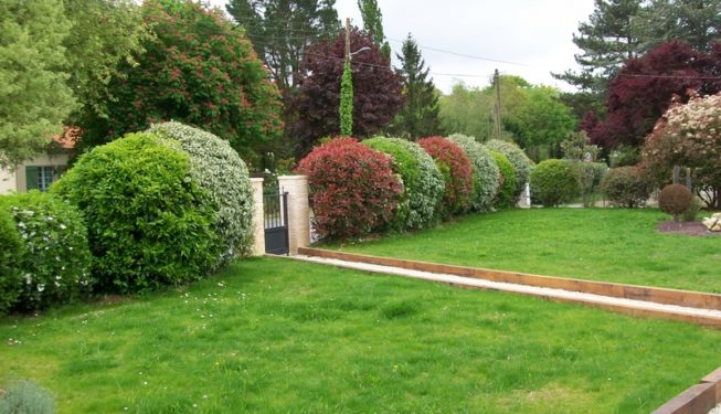 taille plantations Bouaye Papyrus Paysage